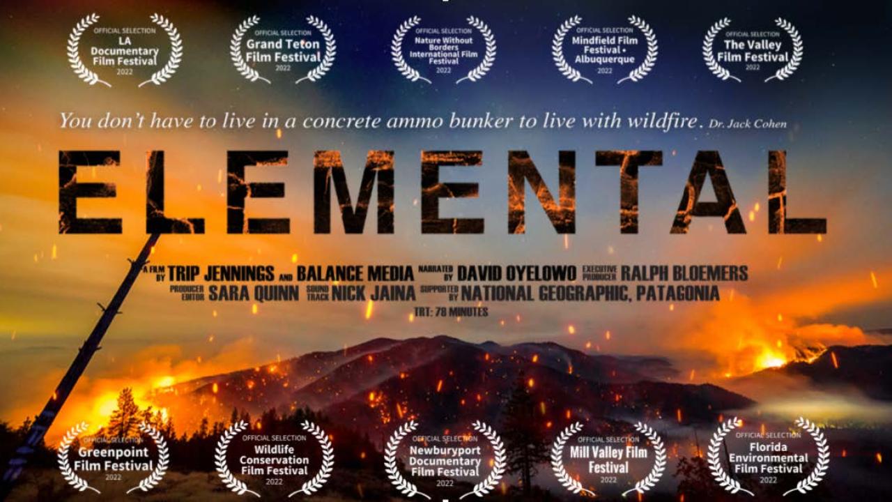 Elemental: Reimagine Wildfire